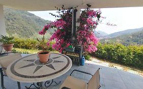 Il Giardino Degli Ulivi